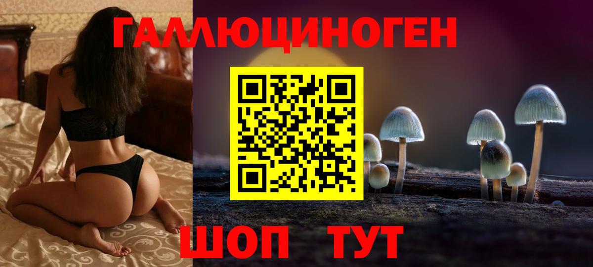 Киров  Галлюциногенные грибы Magic Shrooms  Вход с VPN 